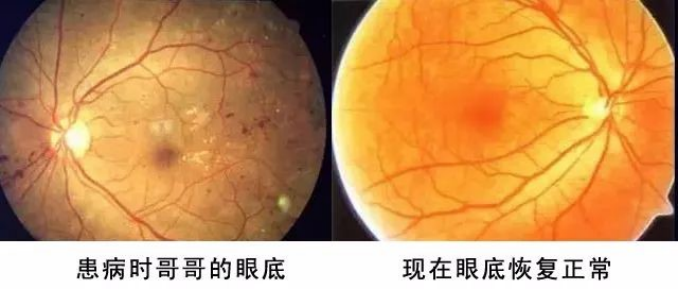 使用者真实反馈