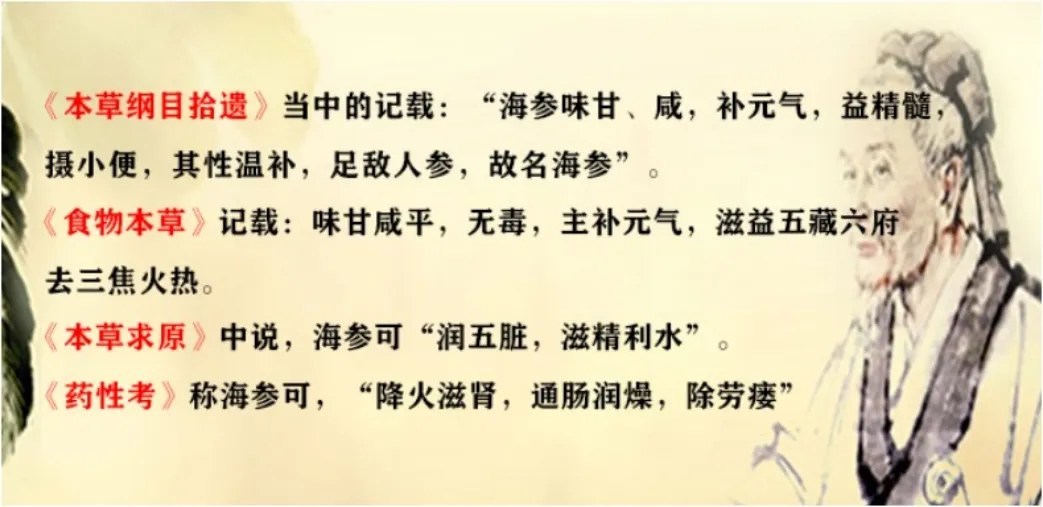 本草纲目海参