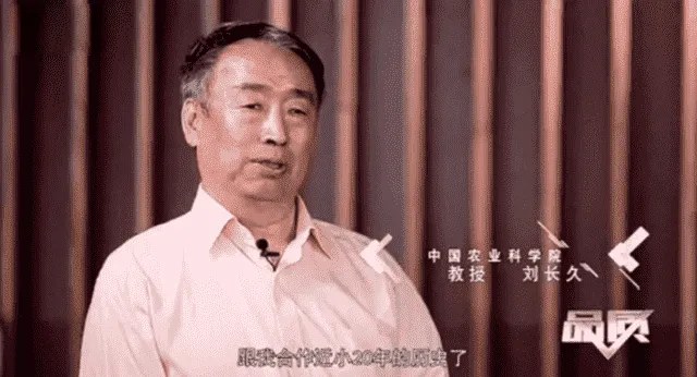 精深加工吃法升级