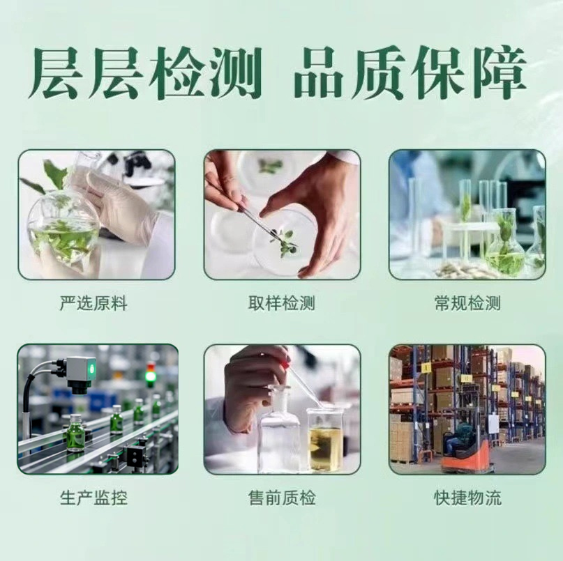 灵芝苦瓜荞麦桑叶片 产品图二