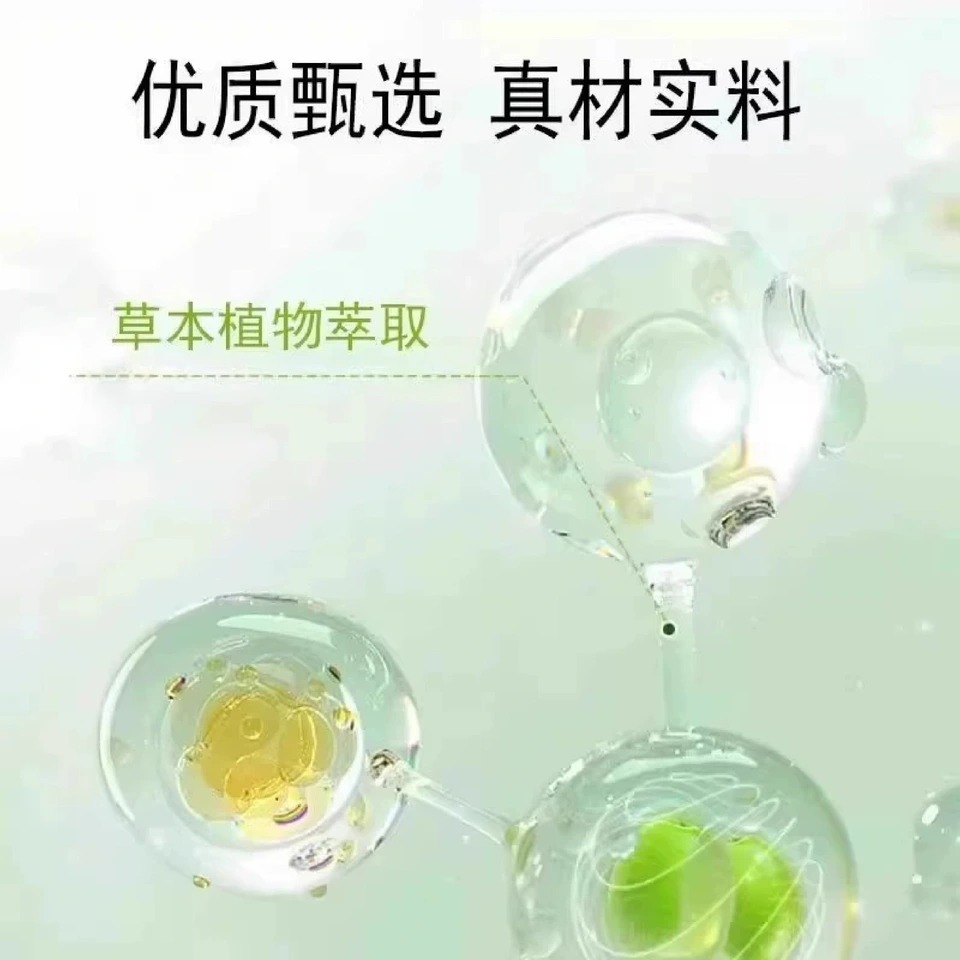 灵芝苦瓜荞麦桑叶片 产品图三